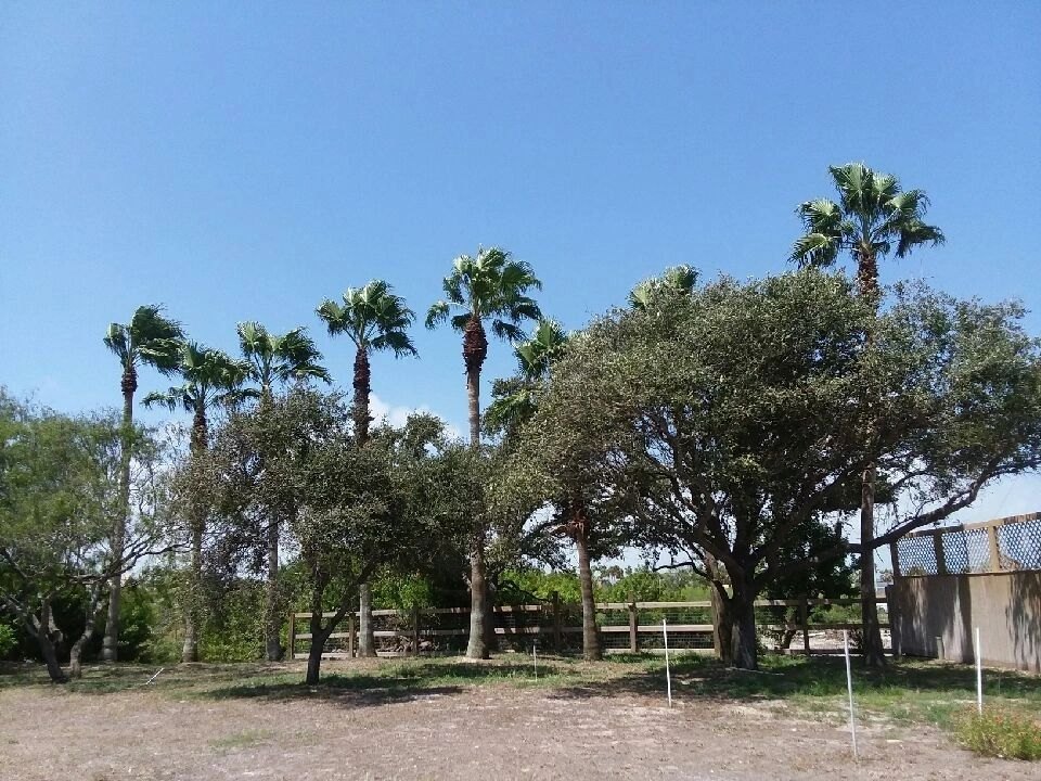 Lot & Land Clearing