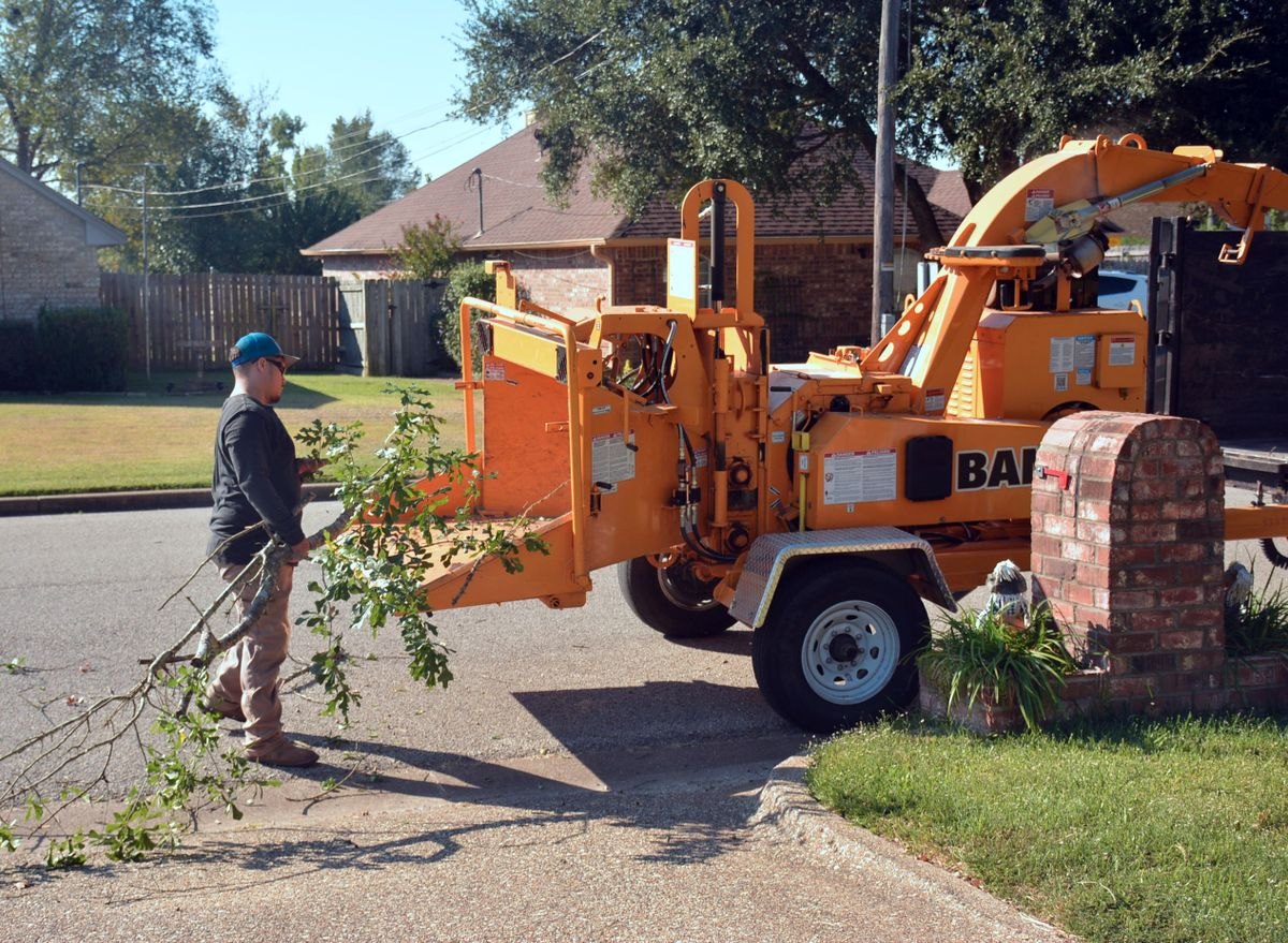 Tree Service crew at work